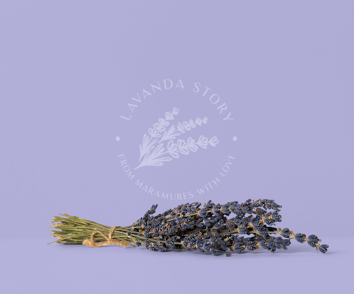 Lavanda-story-slider